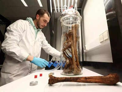 1773089961 unnamed file