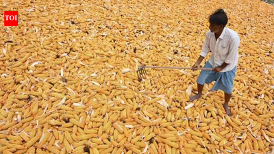 1774388122 unnamed file