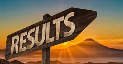 ca foundation inter results 2026 to release on