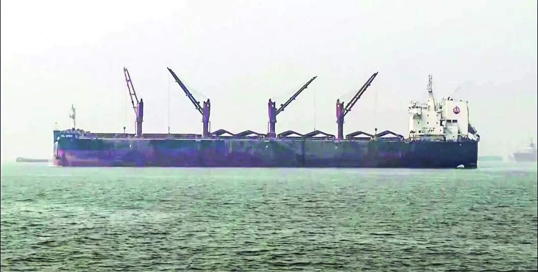 msid 129724984imgsize 48562.cms