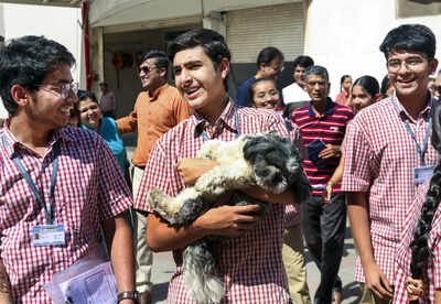 rbse clas 12th exam results 2026