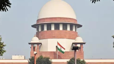 1775693133 image ians