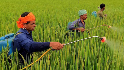 1777292943 representative image