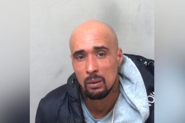 Mauled to death by XL bully dogs UK rapper jailed