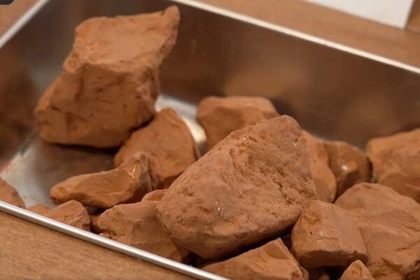 Taste the soil Londons Museum of Edible Earth invites visitors