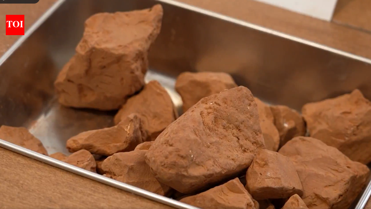 Taste the soil Londons Museum of Edible Earth invites visitors