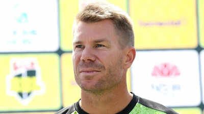 david warner photo by brendon thornegetty images