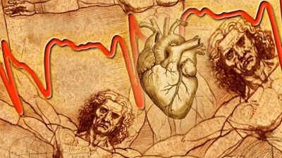 leonardo da vinci drew this heart structure 500 years ago scientists may have just solved the mystery that may predict heart disease