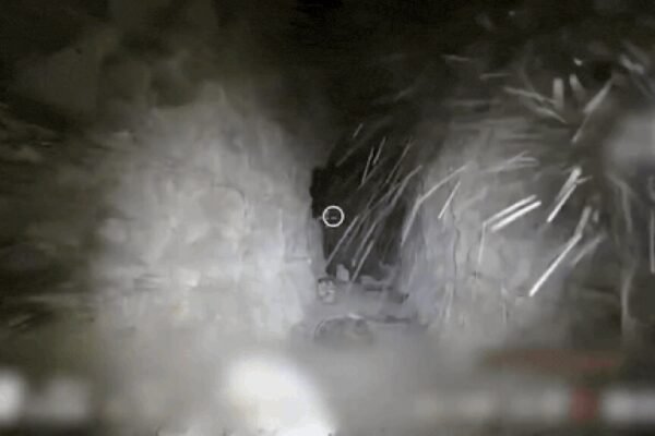 1778582142 photo