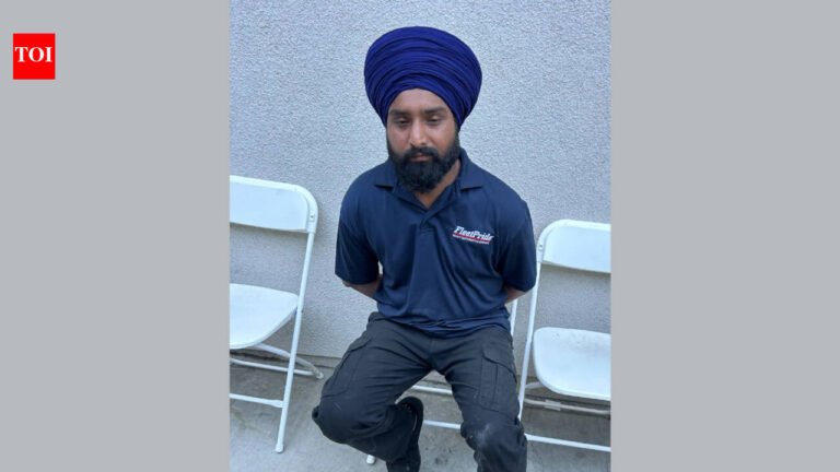 Indian man Parminderpal Singh arrested by ICE in Los Angeles over criminal record, may face deportation