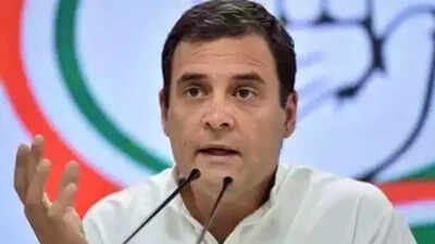 1780097118 rahul gandhi