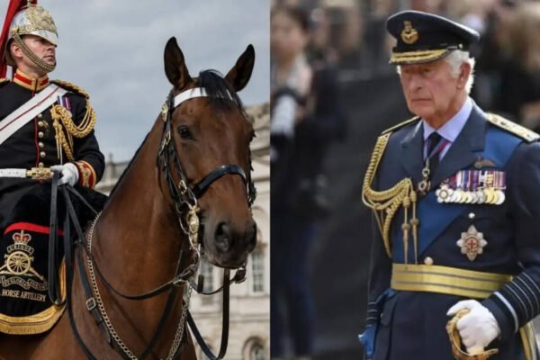 King Charles ‘shocked and saddened as soldier dies after falling