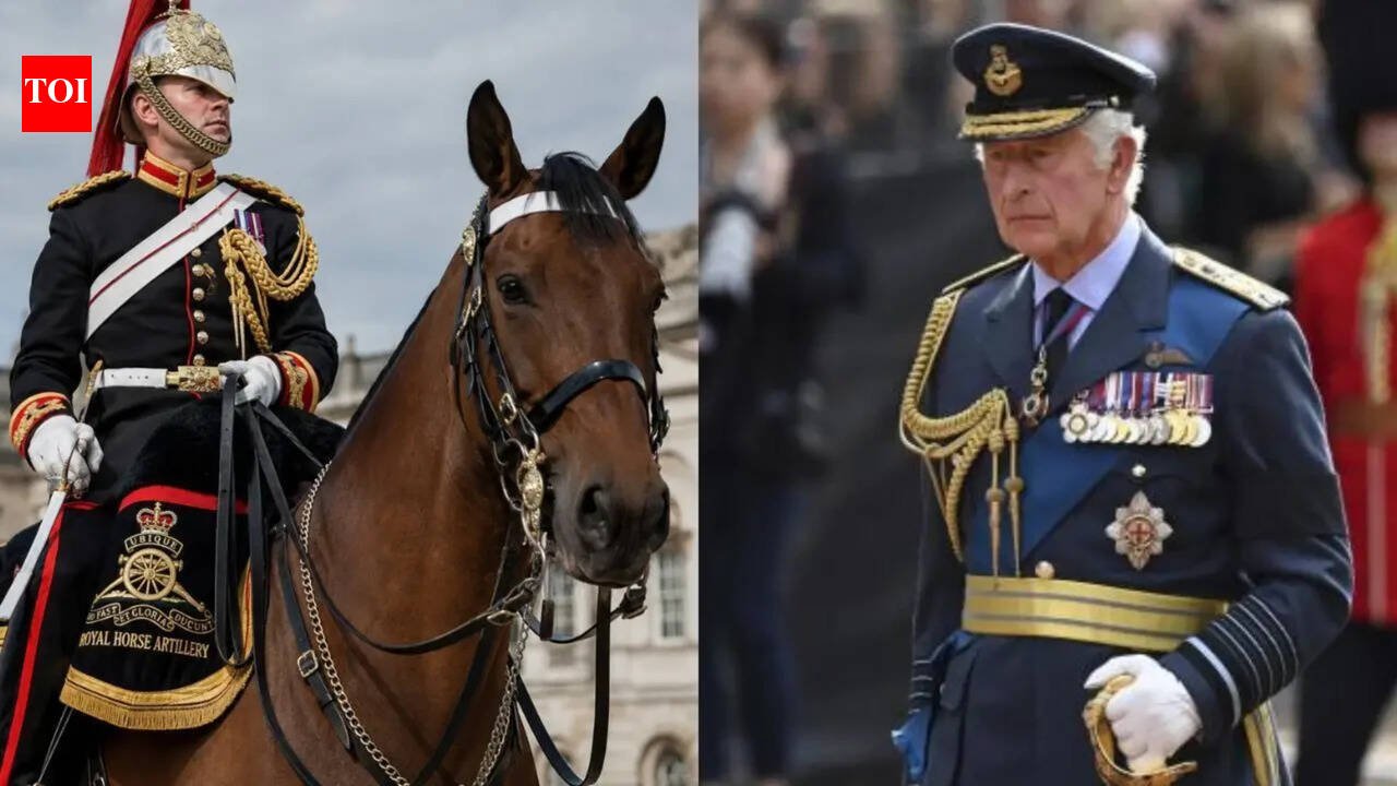 King Charles ‘shocked and saddened as soldier dies after falling