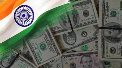 india forex reserves