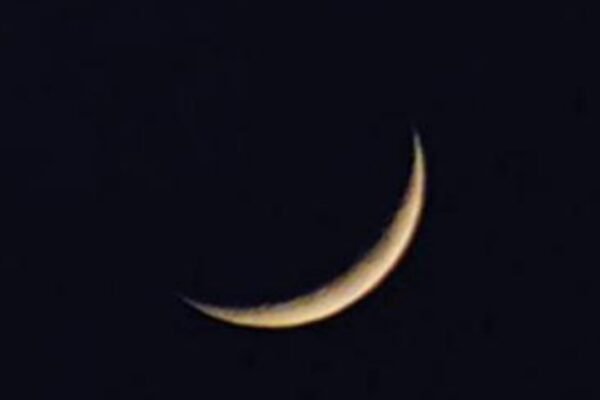 1781600959 photo