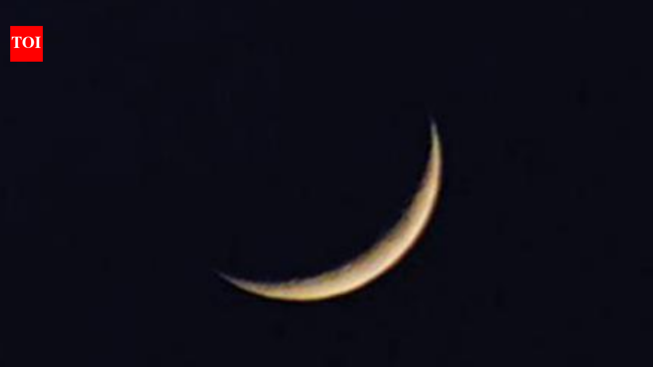 1781600959 photo