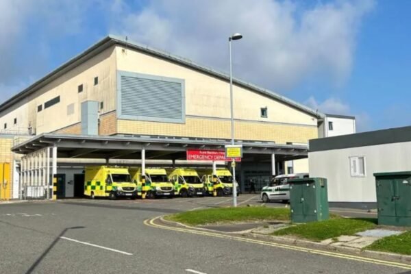 1782116957 photo