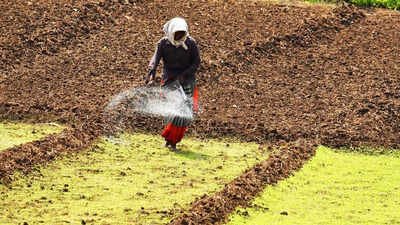 fertiliser ap farmjpg