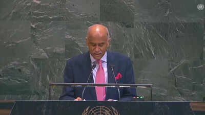 india at unga