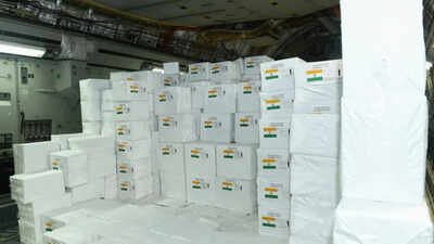 indias help to africa