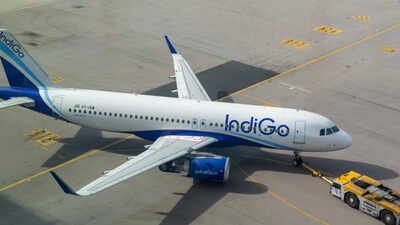 1784919942 indigo