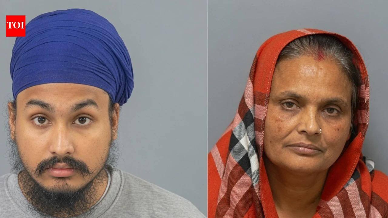 Henry Nowak stabbing case Vickrum Digwas mother jailed for 3