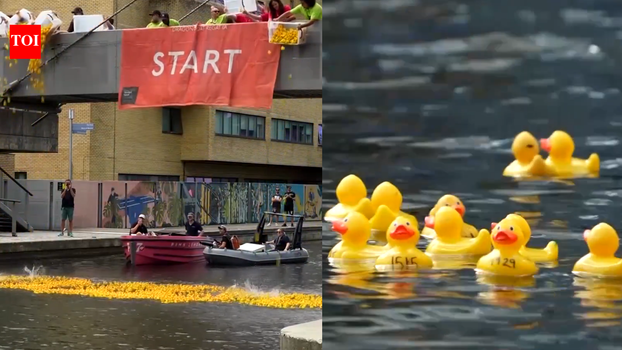 Thousands of rubber ducks raced through a London canal to