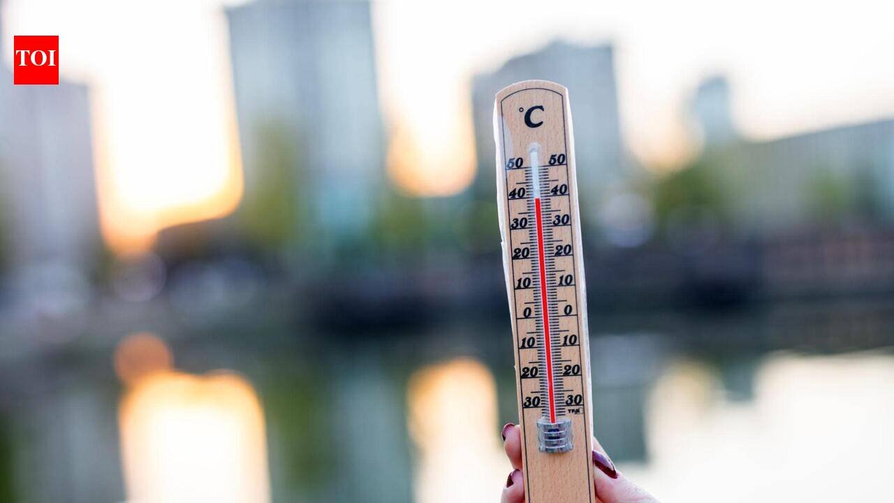 Uk Heatwave 2026 Temperatures set to peak at 36C during