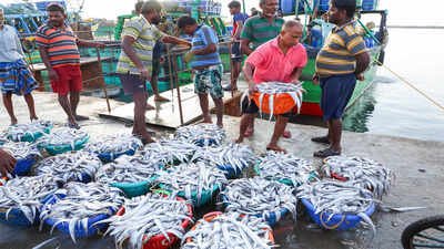 india safeguards billion dollar seafood and agri exports as eu tightens antibiotic norms
