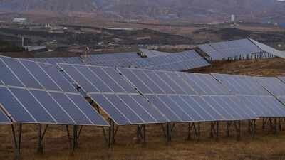 scientists call minnesota solar farms evidence renewable energy can restore ecosystems