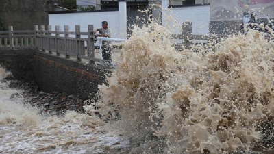 typhoon bavi