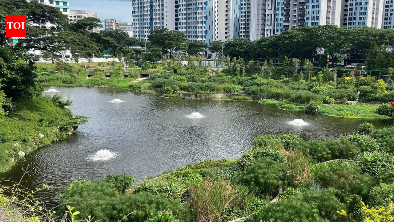 1787311819 photo
