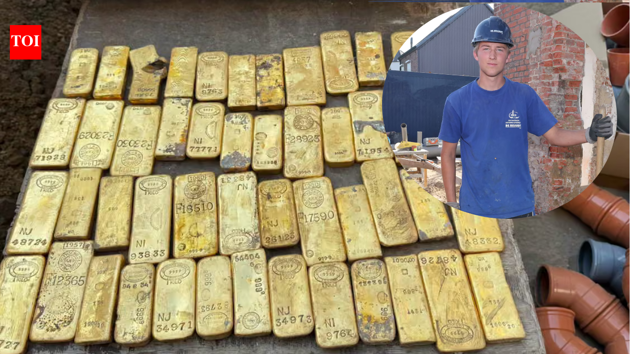 18 year old Belgian student thought he found a E1 coin during