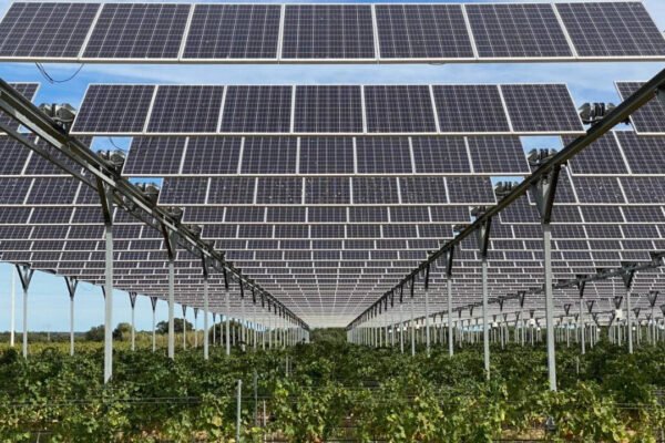 A French winemaker spent E4 million on 6000 solar panels