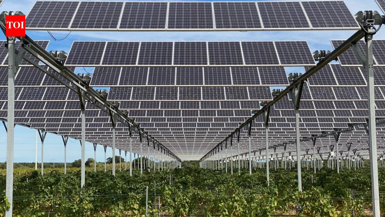 A French winemaker spent E4 million on 6000 solar panels