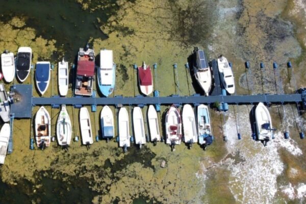 Danube Europes Danube Rhine and Loire are shrinking under heat