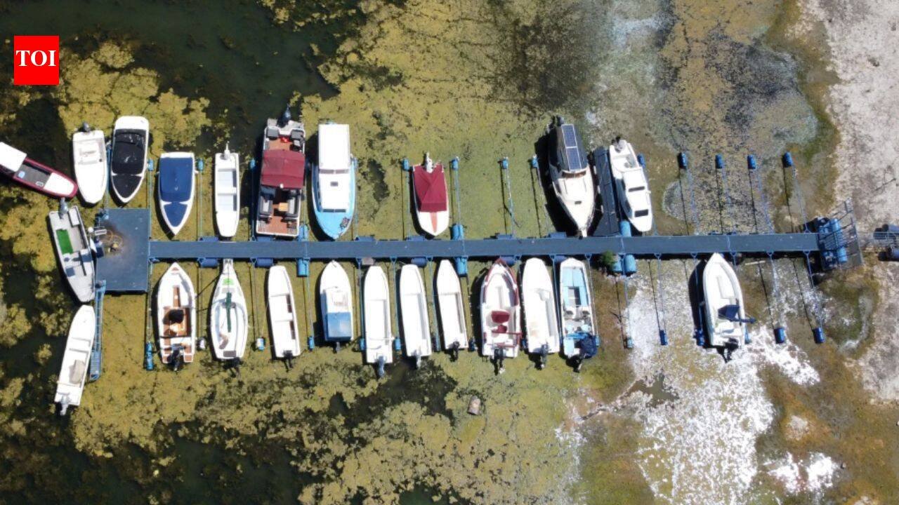 Danube Europes Danube Rhine and Loire are shrinking under heat