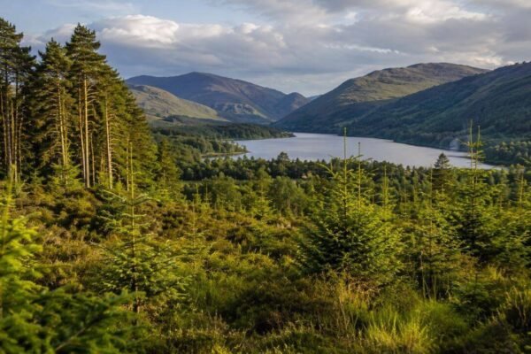 In 1986 Alan Watson Featherstone promised to restore Scotlands ancient