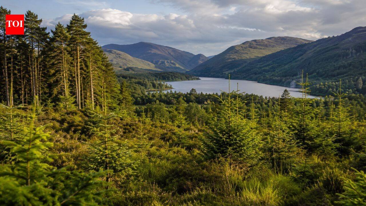 In 1986 Alan Watson Featherstone promised to restore Scotlands ancient