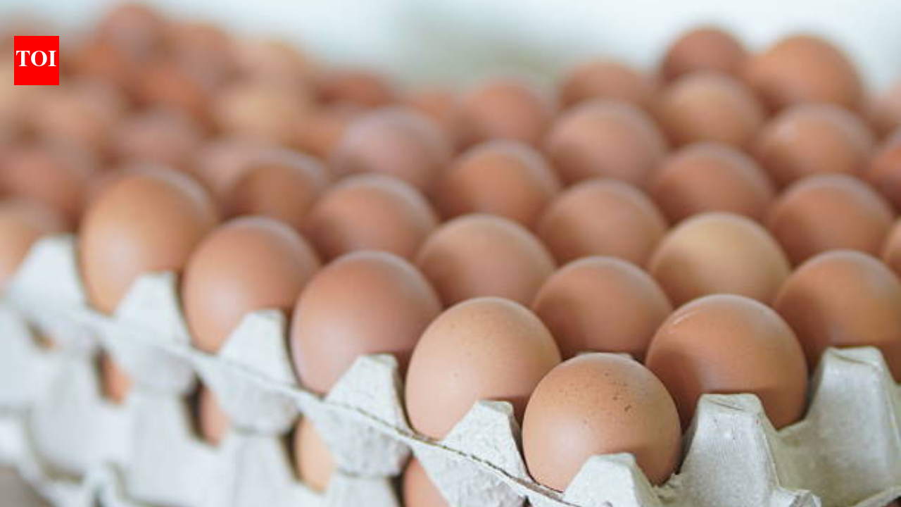 One dead over 200 ill in UK Salmonella outbreak Symptoms
