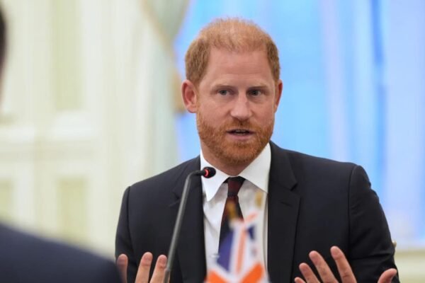 Prince Harry steps down from African Wildlife Charity Board following