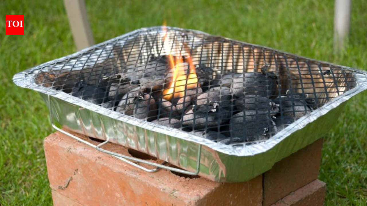 UK govt temporarily bans sale of disposable barbecues amid rising