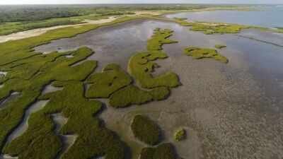 an aerial view of fringe marshes around powderhorn lake
