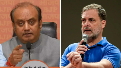 bjp spokesperson rahul gandhi and rahul gandhi