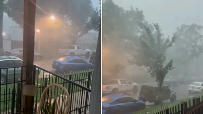 chicago storm