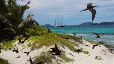 in 1973 christopher cadbury funded the 40000 purchase of a seychelles island stripped for coconuts and seabird eggs today over 1 million seabirds breed there each year