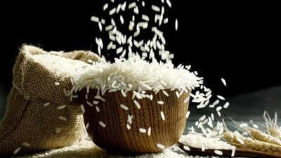indian rice exports to iran