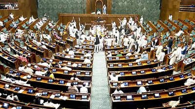 lok sabha