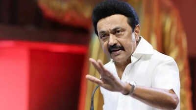 mk stalin election affidavit case madras high court delivers key verdict