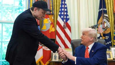 musk and trump
